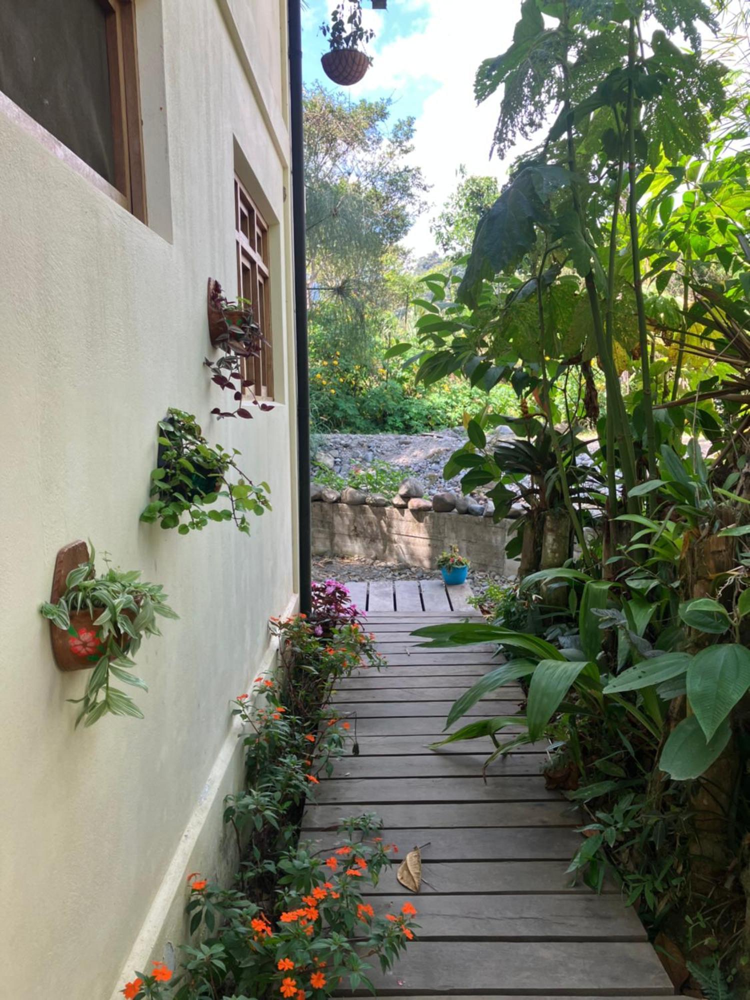 לינה וארוחת בוקר Casa Del Rio En מינדו מראה חיצוני תמונה
