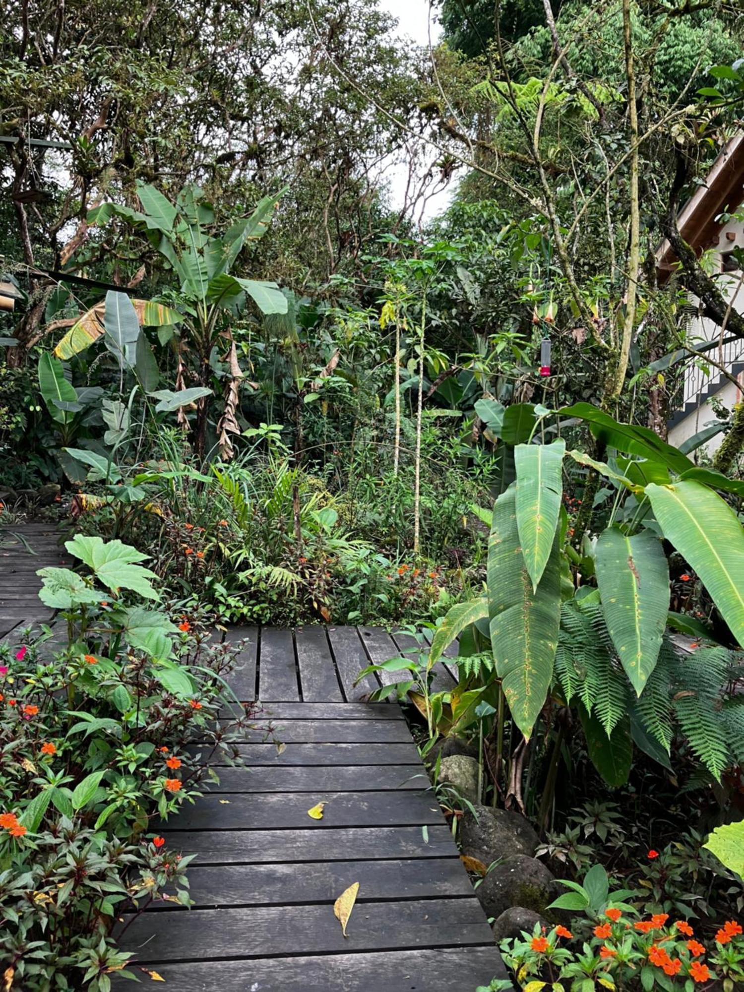לינה וארוחת בוקר Casa Del Rio En מינדו מראה חיצוני תמונה