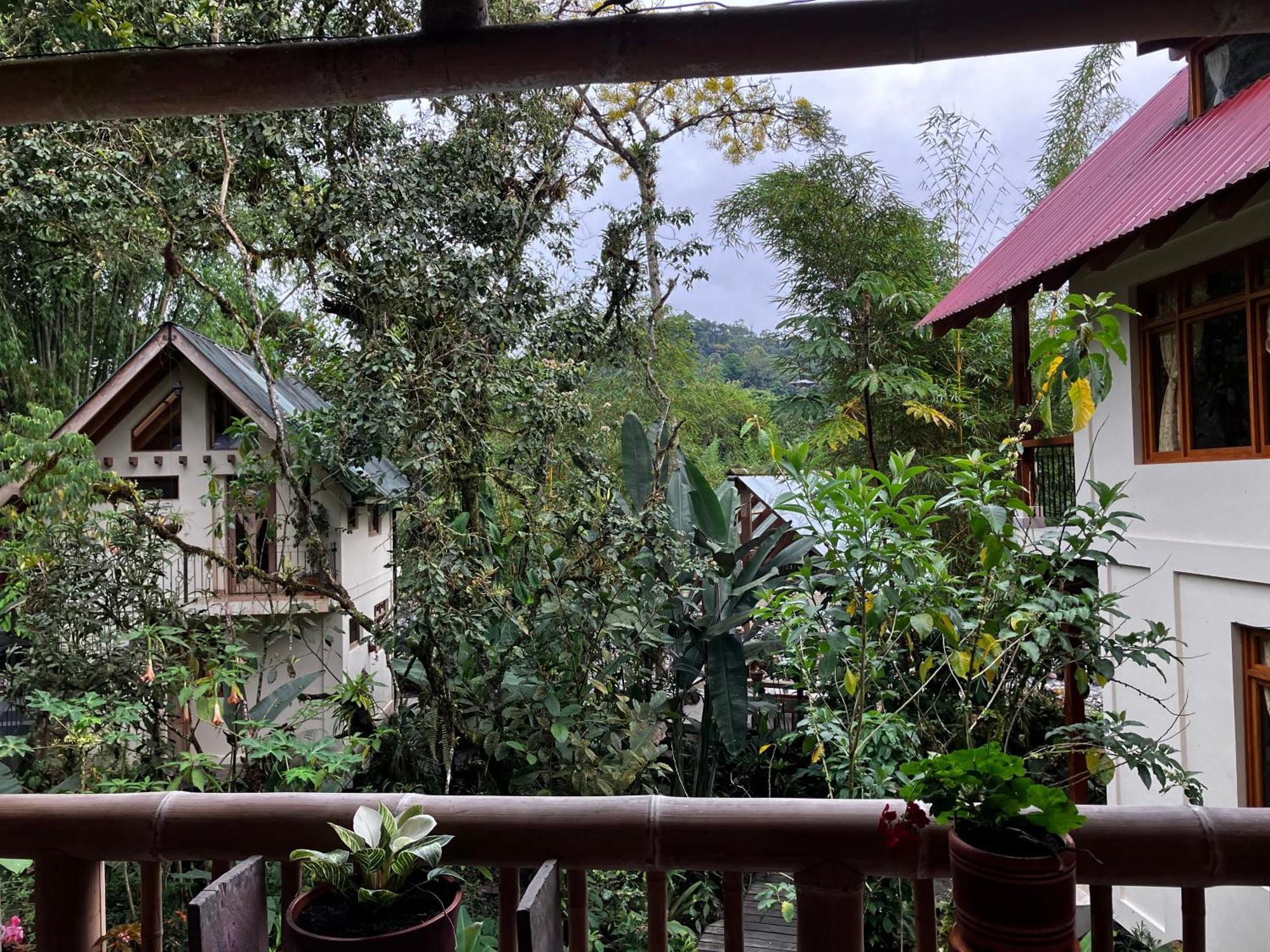 לינה וארוחת בוקר Casa Del Rio En מינדו מראה חיצוני תמונה