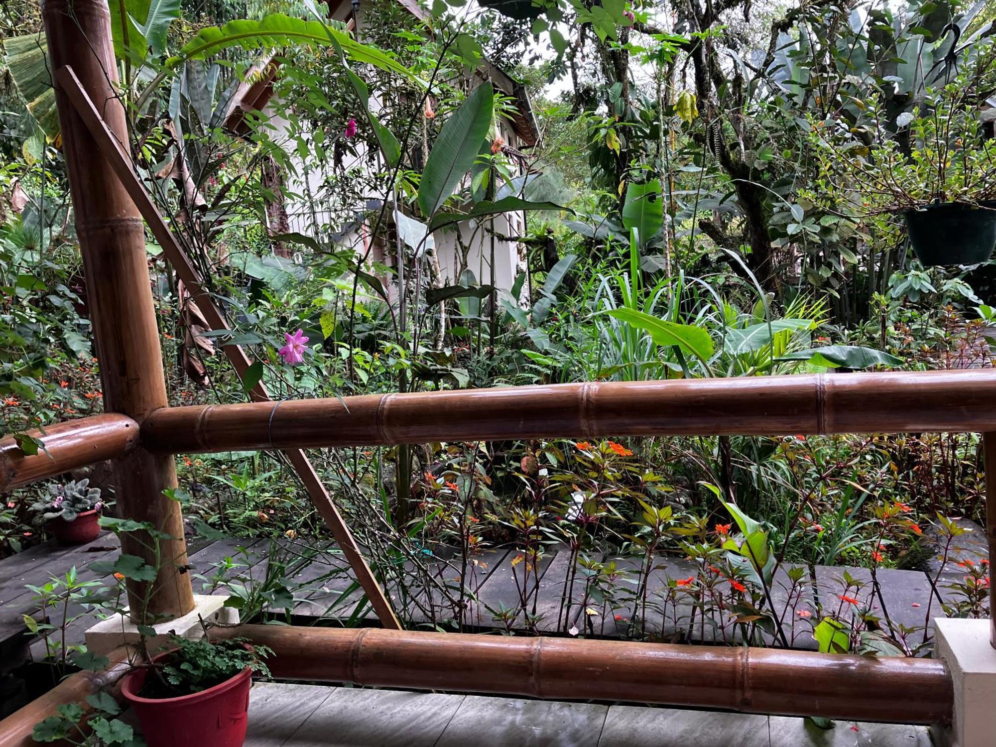 לינה וארוחת בוקר Casa Del Rio En מינדו מראה חיצוני תמונה