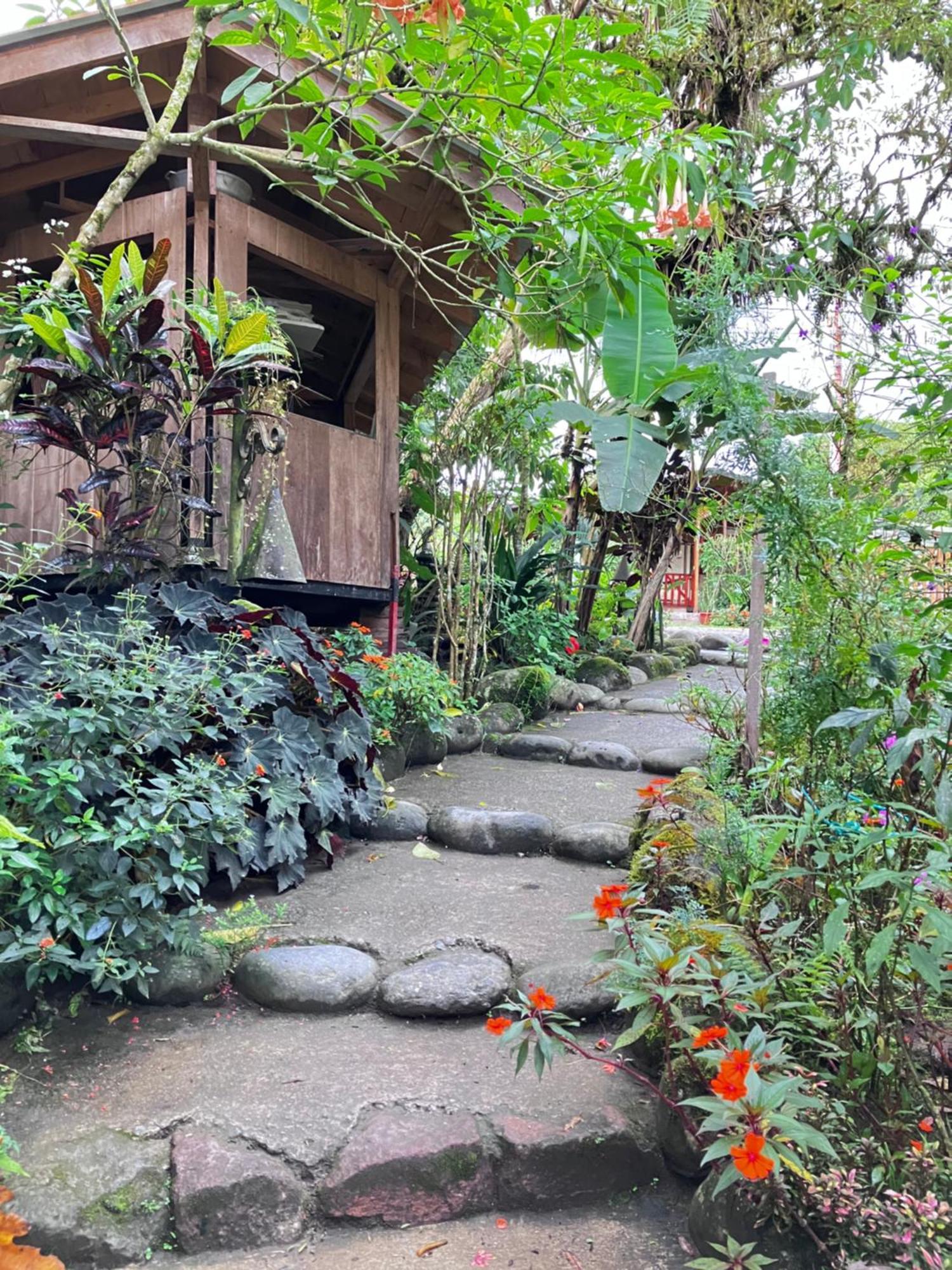 לינה וארוחת בוקר Casa Del Rio En מינדו מראה חיצוני תמונה